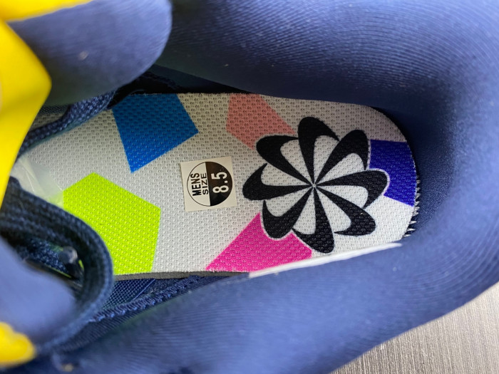 nike dunk low disrupt 2 michigan dv4024-400