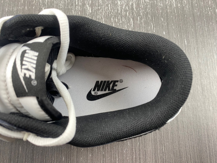 nike dunk low ndl0111