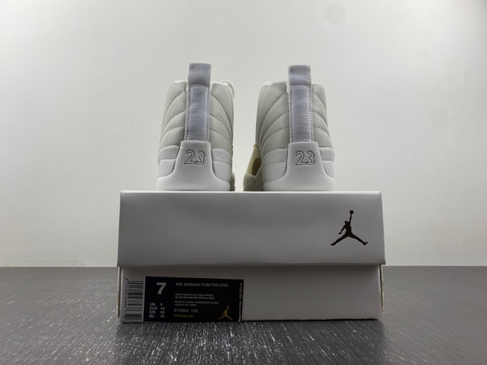 air jordan 12 aj120221