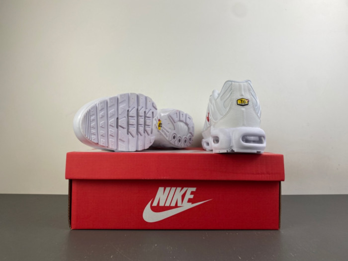 Nike Air Max Plus TN 
