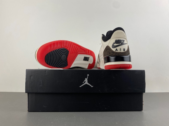 Air Jordan 3 Retro World