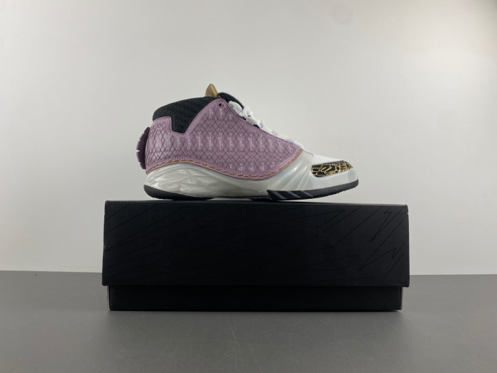Air Jordan 23 White Stealth 318376-102