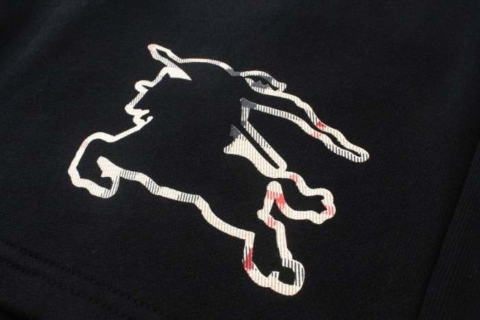 BUR*ERRY SHORTS BR35