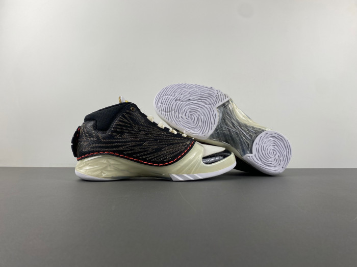 Air Jordan 23 TITAN CZ6222-001